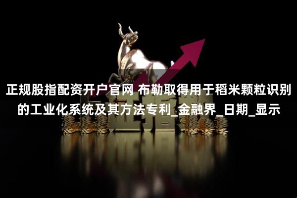 正规股指配资开户官网 布勒取得用于稻米颗粒识别的工业化系统及其方法专利_金融界_日期_显示