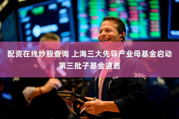 配资在线炒股查询 上海三大先导产业母基金启动第三批子基金遴选